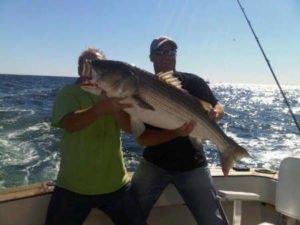 Two contractors holding fish in hands