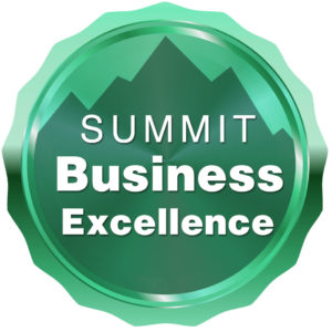 business excellence award